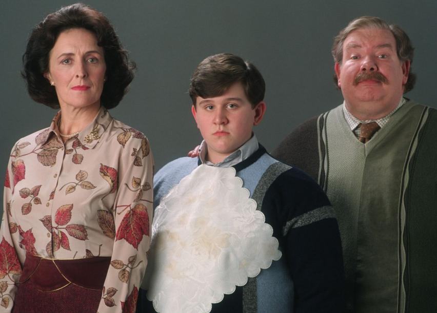 The Dursleys stand for a photo: Petunia, Dudley, and Vernon, looking their normal best.